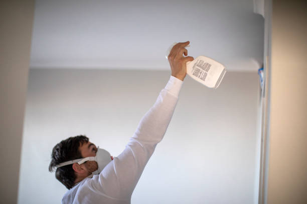 Best Mold Testing and Inspection Services in Rockdale, TX