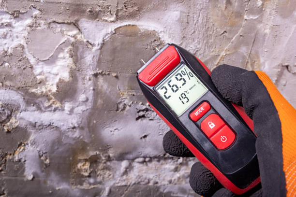 Professional Mold Remediation in Rockdale, TX