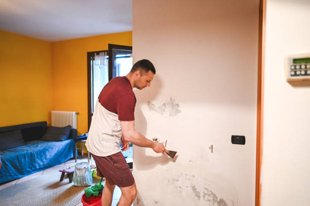  Rockdale, TX Mold Removal Pros